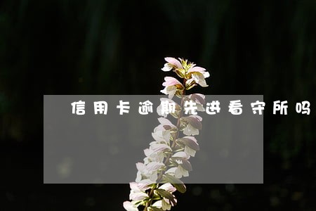信用卡逾期先进看守所吗