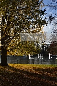 信用卡逾期光打电话 信用卡逾期光打电话