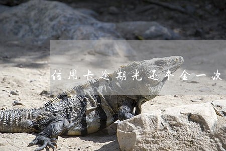 信用卡逾期光还本金一次性还清 信用卡逾期光还本金一次性还清