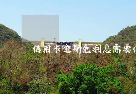信用卡逾期免利息需要什么手续 信用卡逾期免利息需要什么手续