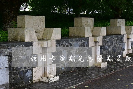 信用卡逾期免息分期还款 信用卡逾期免息分期还款