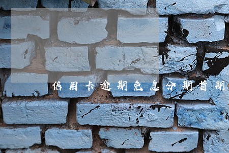 信用卡逾期免息分期首期付款 信用卡逾期免息分期首期付款