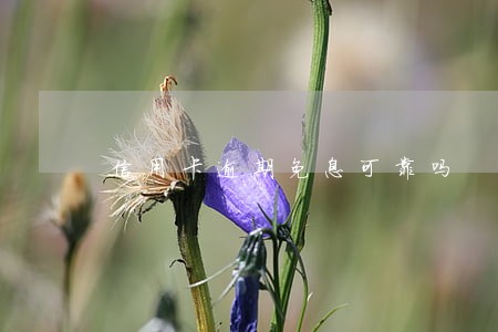 信用卡逾期免息可靠吗