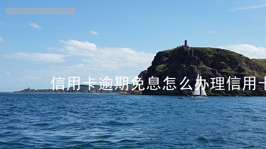 信用卡逾期免息怎么办理信用卡