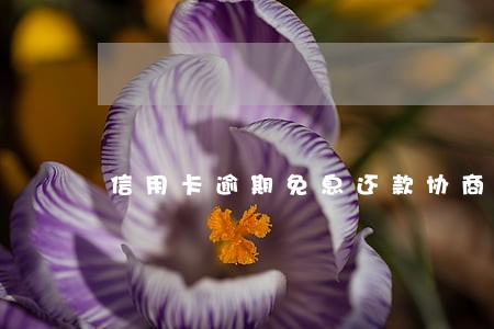 信用卡逾期免息还款协商 信用卡逾期免息还款协商