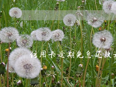 信用卡逾期免息还款是真的吗 信用卡逾期免息还款是真的吗
