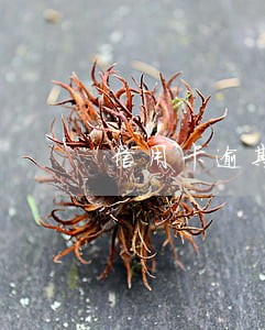 信用卡逾期免除利息 信用卡逾期免除利息