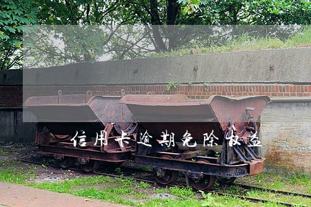 信用卡逾期免除权益 信用卡逾期免除权益