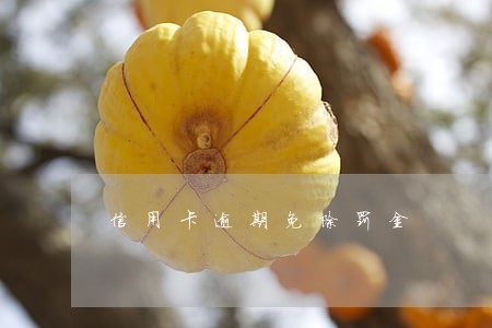 信用卡逾期免除罚金 信用卡逾期免除罚金