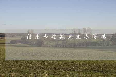 信用卡逾期党政办管吗 信用卡逾期党政办管吗