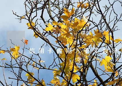信用卡逾期入不了股份是吗 信用卡逾期入不了股份是吗