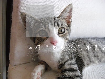 信用卡逾期入刑事案件 信用卡逾期入刑事案件
