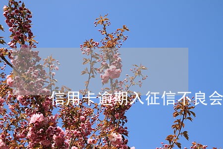 信用卡逾期入征信不良会怎样