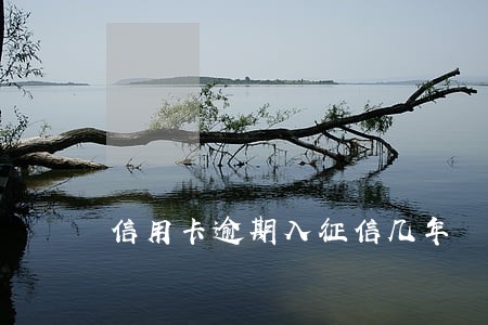 信用卡逾期入征信几年 信用卡逾期入征信几年