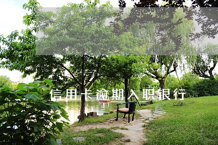 信用卡逾期入职银行 信用卡逾期入职银行