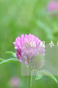 信用卡逾期全款都还了还能用吗 信用卡逾期全款都还了还能用吗