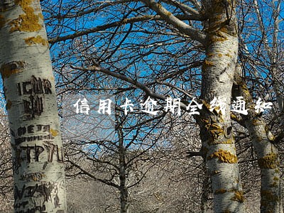 信用卡逾期全线通知