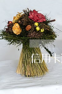 信用卡逾期全部出账 信用卡逾期全部出账