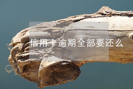 信用卡逾期全部要还么