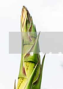 信用卡逾期全部还了怎么办 信用卡逾期全部还了怎么办