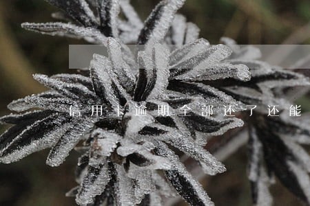信用卡逾期全部还了还能用吗