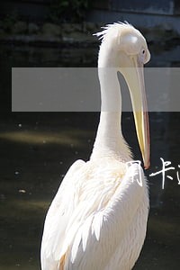信用卡逾期全部还了还要算利息吗 信用卡逾期全部还了还要算利息吗