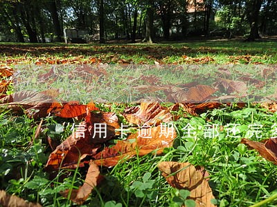 信用卡逾期全部还完多久能恢复