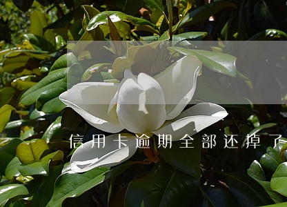 信用卡逾期全部还掉了还能用吗 信用卡逾期全部还掉了还能用吗