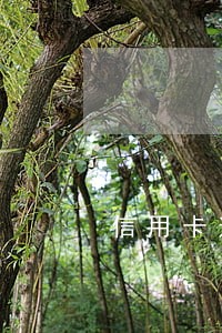 信用卡逾期全部还清影响孩子