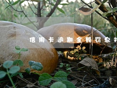 信用卡逾期全额罚息对吗 信用卡逾期全额罚息对吗