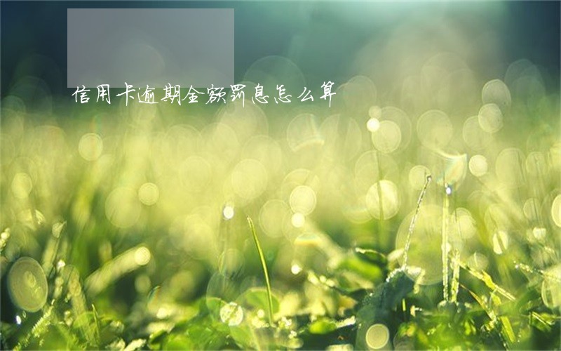 信用卡逾期全额罚息怎么算 信用卡逾期全额罚息怎么算