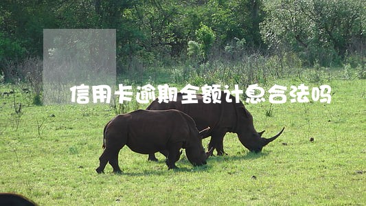 信用卡逾期全额计息合法吗