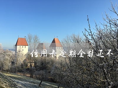 信用卡逾期全额还不了 信用卡逾期全额还不了