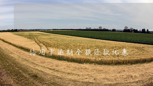 信用卡逾期全额还款优惠 信用卡逾期全额还款优惠
