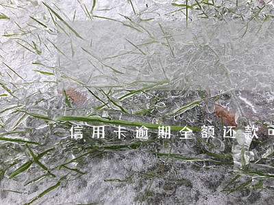 信用卡逾期全额还款可以协商 信用卡逾期全额还款可以协商