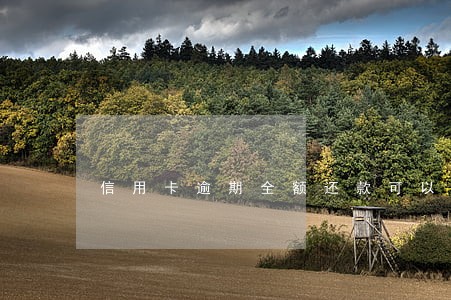 信用卡逾期全额还款可以吗