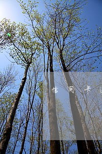 信用卡逾期全额还款能再用吗 信用卡逾期全额还款能再用吗