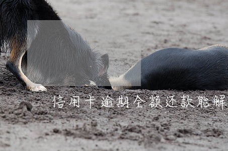 信用卡逾期全额还款能解冻吗 信用卡逾期全额还款能解冻吗