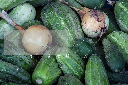 信用卡逾期兩月 信用卡逾期兩月