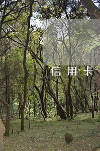 信用卡逾期兩萬被告知逮捕