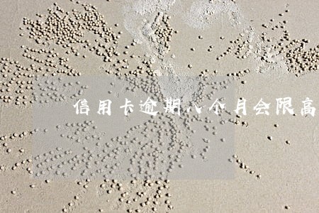 信用卡逾期八个月会限高令 信用卡逾期八个月会限高令