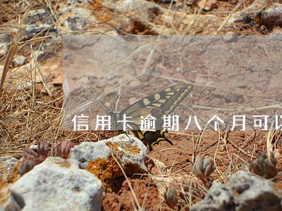 信用卡逾期八个月可以解冻 信用卡逾期八个月可以解冻