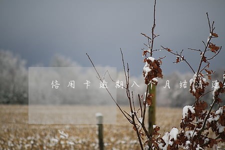 信用卡逾期八个月结清还能使用吗 信用卡逾期八个月结清还能使用吗