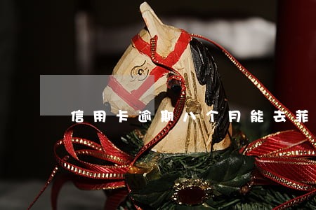 信用卡逾期八个月能去菲律宾 信用卡逾期八个月能去菲律宾