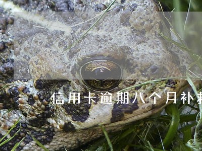 信用卡逾期八个月补救