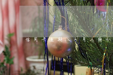 信用卡逾期八个月还能分期