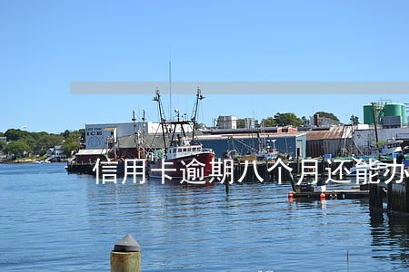 信用卡逾期八个月还能办信用卡吗 信用卡逾期八个月还能办信用卡吗