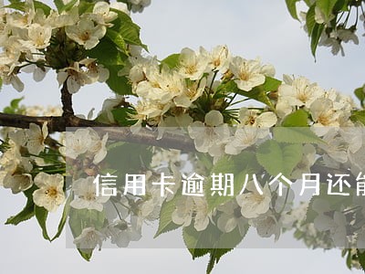 信用卡逾期八个月还能贷款吗