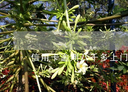 信用卡逾期八千多上门