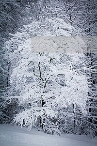信用卡逾期八天了 信用卡逾期八天了